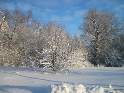 Рисунок начало зимы - 41 фото