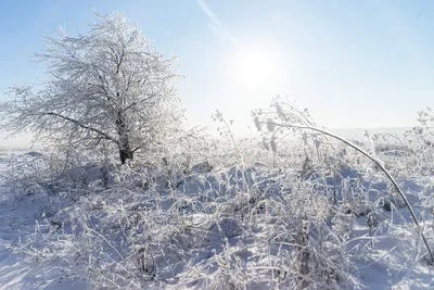 Начало зимы / фото