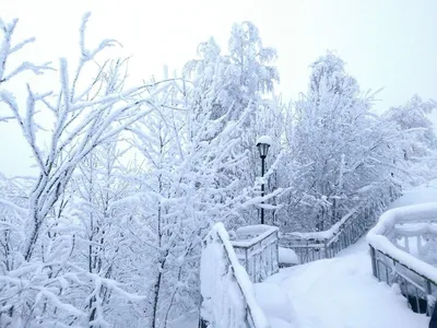 Фото: Сегодня начало зимы.. разноплановый Galina Iv.. Природа. Фотосайт  Расфокус.ру