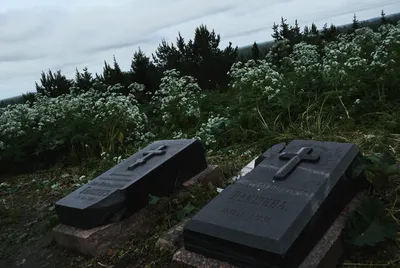 File:Надгробные плиты Векшина Льва Прокопьевича и Векшиной Харитины  Никитичны около Петропавловской церкви в Нагорном Иштане.jpg - Wikimedia  Commons
