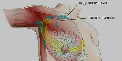 ЛИМФОМА ИЗЛЕЧИМА В 80% СЛУЧАЕВ – «Білім шапағаты»