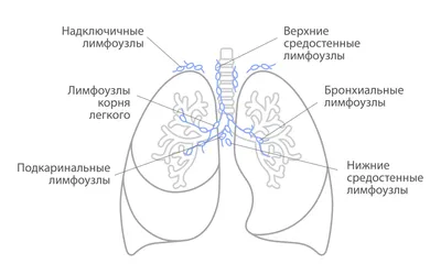 Ленель - Ленель added a new photo.