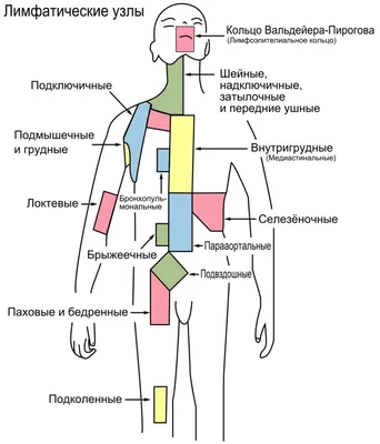 Местно-распространенный рак пищевода с изолированным метастазом в надключичный  лимфоузел - YouTube