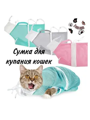 Накладки на когти кошкам - фото в хорошем качестве для скачивания бесплатно
