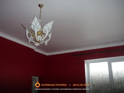 Натяжные потолки в гостиную по низким ценам: Заказать потолок в зал в  Смоленске