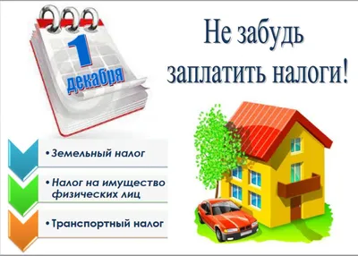 Налоги и отчетность для начинающих бизнес