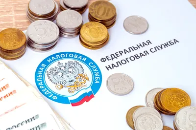 Налоги организации 2023: виды налогообложения юридических лиц, ставки, суммы