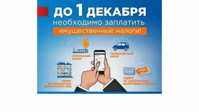 Федеральные, региональные, местные налоги | Обществознание ЕГЭ | ОГЭ | Дзен