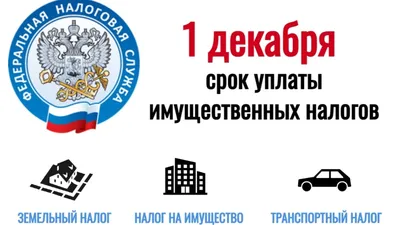Что будет, если не заплатить налоги до 15 ноября | Дняпровец. Речица online