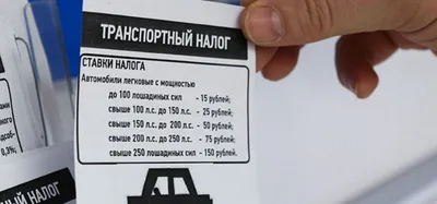Уплатить налоги не позднее 1 декабря 2023 | Заря