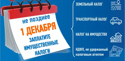 Какие налоги и сборы установлены в России? | Медиапроект «Налогика»