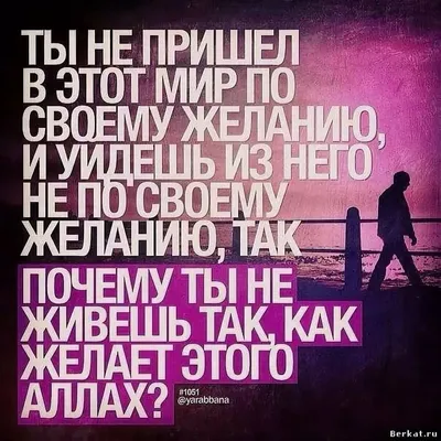 kurbonaliev_3835 - Утренний НАМАЗ ! | Facebook