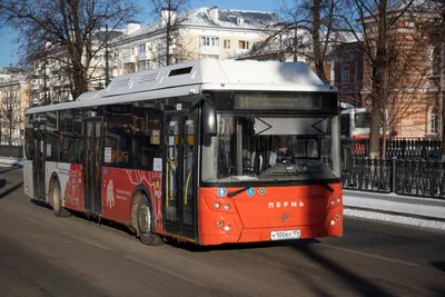 Прямые кухни в Перми. Огромный выбор цветов и моделей. Срок изготовления от  8 дней! Рассрочка 0%! Гарантия! Нестандартные размеры! Бесплатный  дизайн-проект, выезд замерщика! Каталог с ценами и подробными размерами.  Квалифицированные дизайнеры