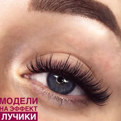 Etalon Lashes | Москва | Онлайн-запись