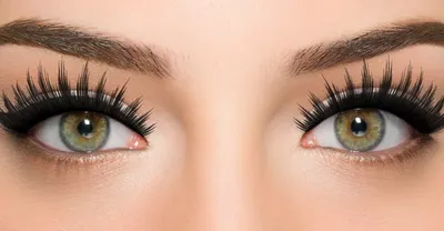 Купить Ardell Fashion Lashes Accent №305 Накладные ресницы для внешних уголков  глаз за 540 руб. в Самаре в интернет-магазине Shampoo