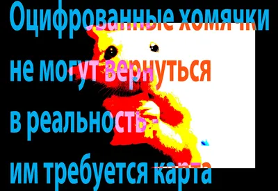 О чём говорил Владимир Путин на пресс-конференции — 2020