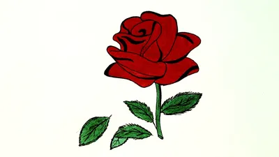 Нарисованная Вручную Красная Роза — стоковая векторная графика и другие  изображения на тему Абстрактный - Абстрактный, Афиша, Букет - iStock
