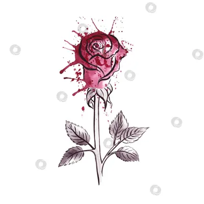Нарисованная роза в стиле Ренессанс» — создано в Шедевруме