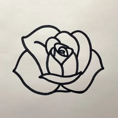 Цветок, красные розы, рука нарисованная иллюстрация Иллюстрация вектора -  иллюстрации насчитывающей завод, чертеж: 129195825