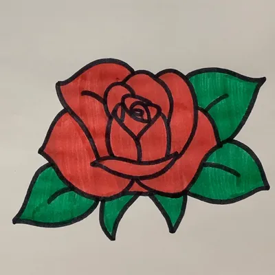 нарисованная роза png | PNGWing