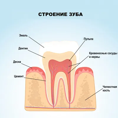 Желтый налет на языке 【Причины и лечение】