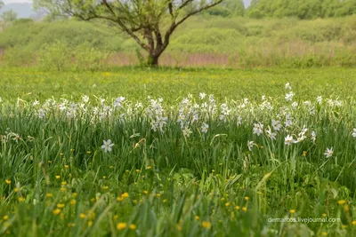 10 «стран» в Украине, которые стоит посетить: одесская Италия и хмельницкая  Ирландия| Новости| Туристическая компания «ТамТур»