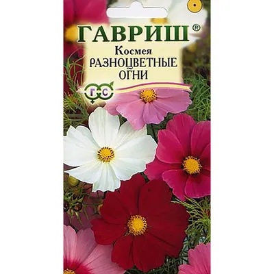 Нарцисс Махровый Рип ван Винкль – купить луковицы в интернет-магазине Лафа  с доставкой по Москве, Московской области и России