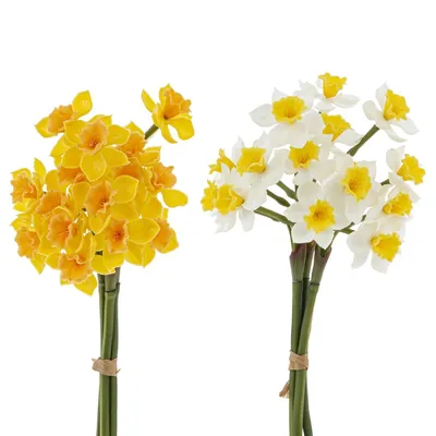 Цветок Нарцисс 3D низкополигональный 3D Модель $10 - .max .obj - Free3D