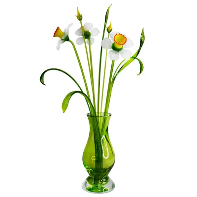 Бесплатное изображение: Жёлтый нарцисс, желтоватый, цветы, лепестки,  крупным планом, природа, Нарцисс, лист, весна, сад