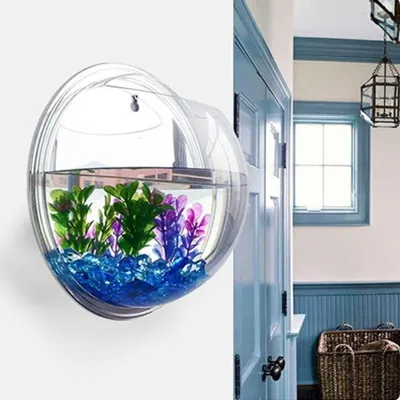 Настенный аквариум из акрила, диаметр 150/230 мм – купить по низким ценам в  интернет-магазине Joom