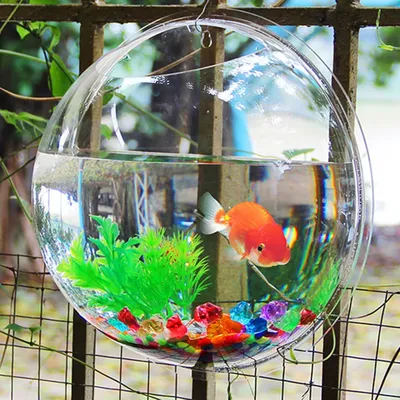Купить Акриловый настенный аквариум в форме полусферы, подвесной аквариум  для рыбной ловли, настенный подвесной аквариум, Золотая рыбка | Joom