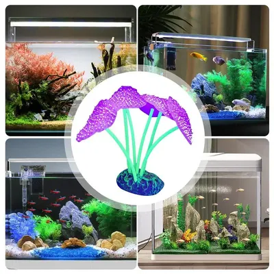 Гидропонные растения, настенные аквариумные стеклянные чаши, аквариумные  небольшие посадочные фермы Betta Home | AliExpress