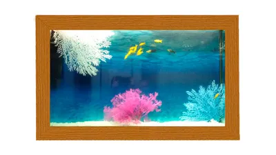 Акриловый Настольный мини-аквариум для золотой рыбки, креативный настенный  подвесной аквариум для помещений, экологичный настенный подвесной аквариум  для гостиной | AliExpress