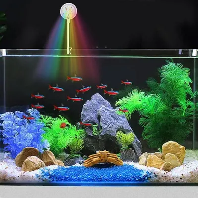 Подвесные настенные фермеры Сфера аквариум бета рыба домашние игрушки  экзотические аквариумные украшения стеклянная чаша в форме | AliExpress