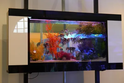 Пользовательский подводный мир, аквариум, искусственная кожа, 3D Настенные  обои, домашний декор, Фотофон, настенная бумага для гостиной | AliExpress