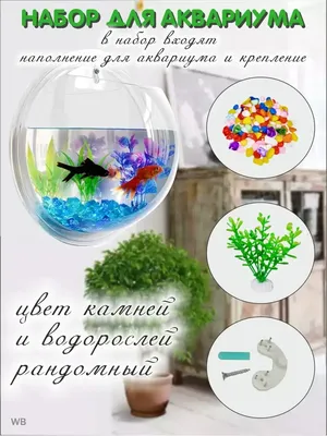 Настенная живую картина-аквариум в Минске
