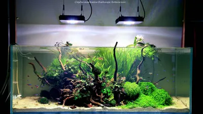 Пользовательский подводный мир, аквариум, искусственная кожа, 3D Настенные  обои, домашний декор, Фотофон, настенная бумага для гостиной | AliExpress