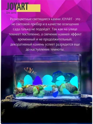 Продам декоративные аквариумы: 50 000 so'm - Akvarium baliqlari Toshkent на  Olx