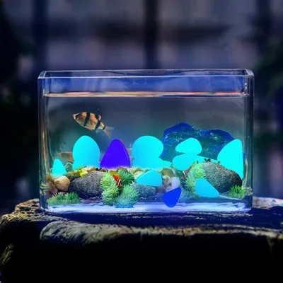 Светодиодные светильники в растительном аквариуме.