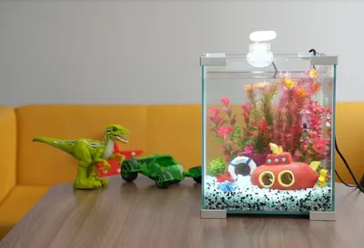 Декоративный настенный аквариум для дома - купить в Москве I  Санкт-Петербург I Бесплатная доставка I Отзывы ☆