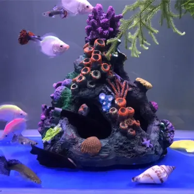 настенный мини-акриловый аквариум из плексигласа, аквариум для аквариума|  Alibaba.com