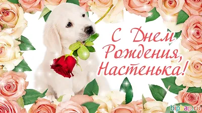 Картинки с днем рождения настя (45 лучших фото)