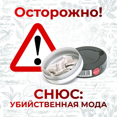 Прокуратура информирует о последствиях потребления насвая и ответственности  за незаконный оборот наркотиков