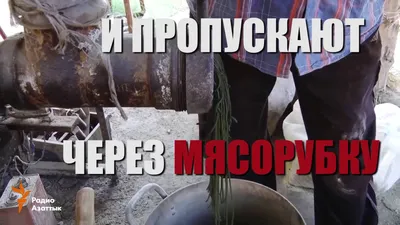 Модный насвай | Иль Аб. | Дзен