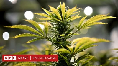 Здоровый образ жизни | Государственное бюджетное учреждение Ростовской  области «Городская поликлиника №3» в г.Волгодонске