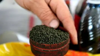 Профилактика наркомании - Михалишковская средняя школа