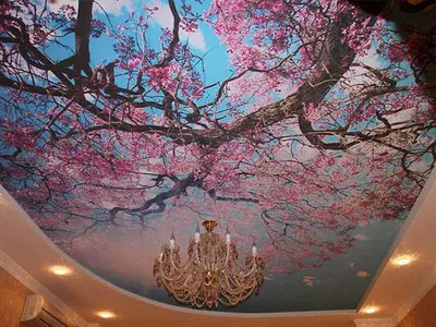 Натяжной потолок с рисунком фото фотографии