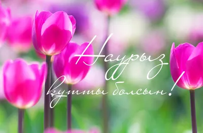 В Астраханской области отметили национальный праздник Наурыз | Газета ВОЛГА