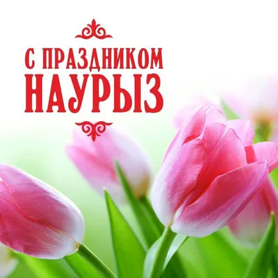 Поздравления с Международным днем Наурыз: картинки и поздравления в прозе -  Новости | Караван