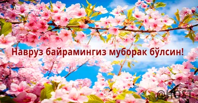 Посольство России в Таджикистане - Поздравляем всех таджикистанцев с  праздником Навруз! Ҳамаи точикистониенро бо иди Навруз табрик мекунем! |  Facebook